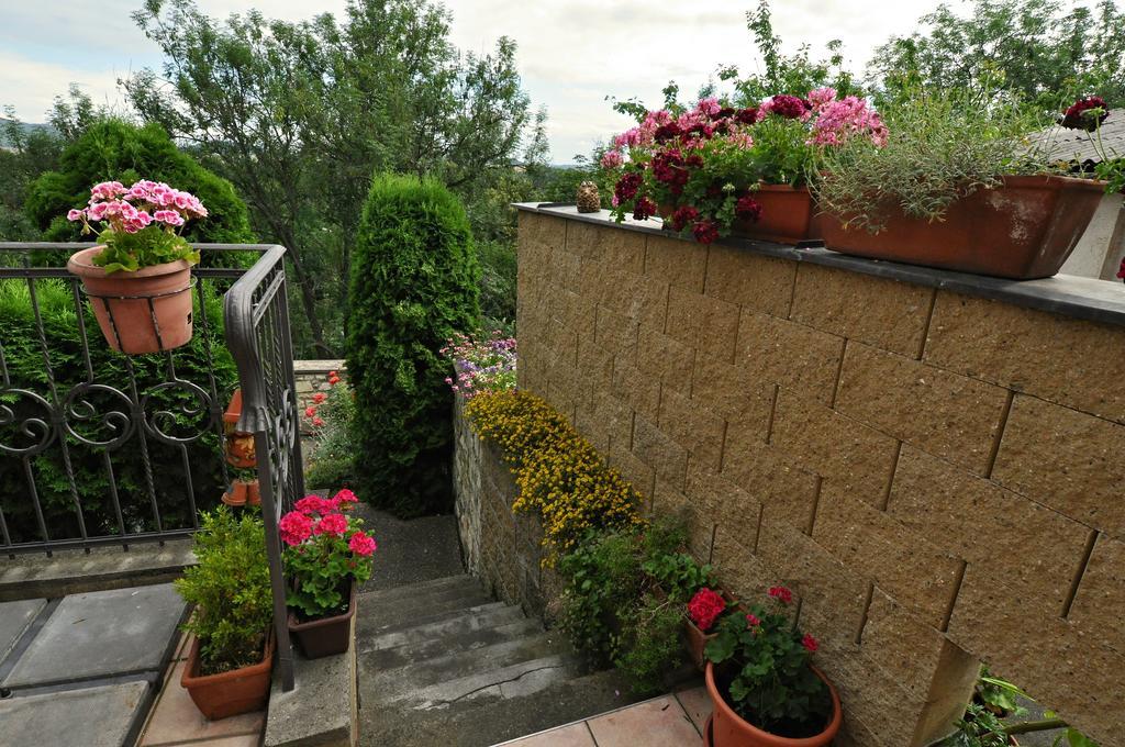 Hotel Na Hradbach Louny Extérieur photo